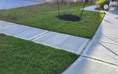 Photo of Dona P.'s yard after getting lawn care in Odenton, MD