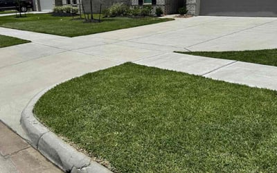 Photo of Jake B.'s yard after getting lawn care in Valrico, FL