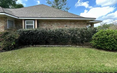 Photo of Robert W.'s yard after getting tree care in Salt Lake City, UT