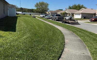 Photo of Geoff T.'s yard after getting lawn care in Bangor, ME