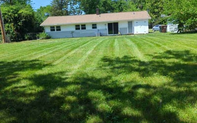 Photo of Bekah M.'s yard after getting lawn care in Bentonville, AR