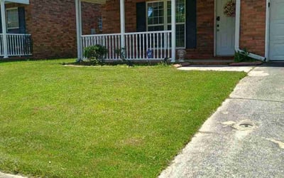 Photo of Chris N.'s yard after getting lawn care in Cedar Hill, TX