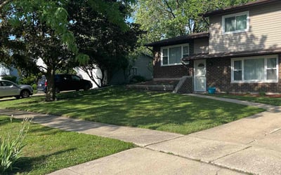 Photo of Emma W.'s yard after getting lawn care in Oak Park, IL