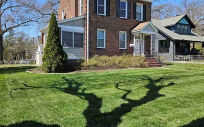 Photo of Tim D.'s yard after getting lawn care in Oxon Hill, MD