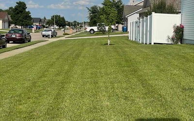 Photo of Ed C.'s yard after getting lawn care in Wood River, IL