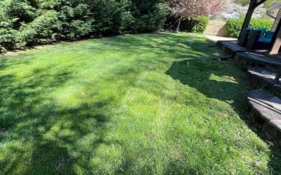 Photo of Kendall J.'s yard after getting lawn care in Rockville, MD