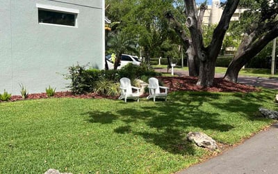 Photo of Paul C.'s yard after getting lawn care in Tampa, FL