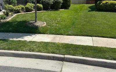 Photo of Brie D.'s yard after getting lawn care in Mechanicsville, VA
