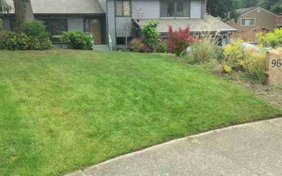 Photo of Maya R.'s yard after getting lawn care in Bothell, WA