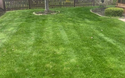 Photo of Dakota L.'s yard after getting lawn care in Pinson, AL