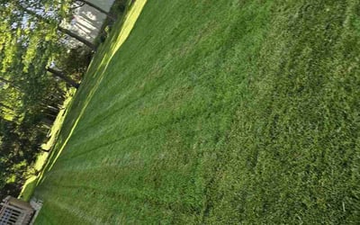 Photo of Chuck H.'s yard after getting lawn care in Dallas, PA