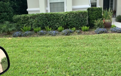Photo of Tara B.'s yard after getting lawn care in Sewickley, PA