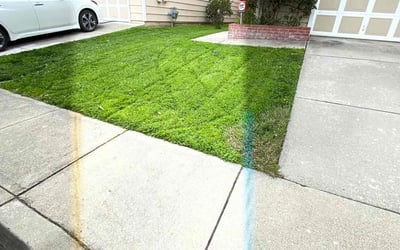 Photo of Sara B.'s yard after getting lawn care in Fremont, CA