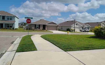 Photo of Mckayla K.'s yard after getting lawn care in Palmetto, FL