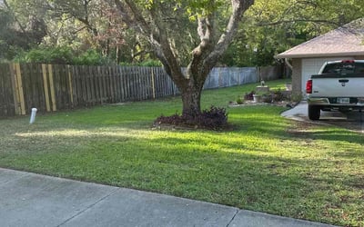 Photo of Davinia W.'s yard after getting lawn care in Spring Hill, FL