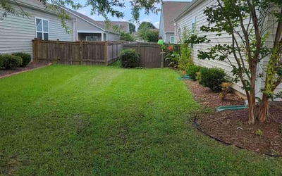 Photo of John R.'s yard after getting lawn care in New Bern, NC
