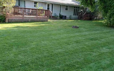 Photo of Amy W.'s yard after getting lawn care in Roseville, MN