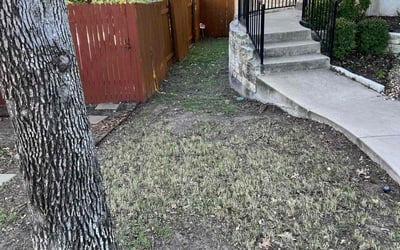 Photo of Austin F.'s yard after getting lawn care in Summerfield, FL