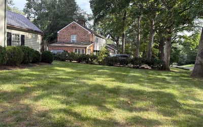 Photo of Kelly M.'s yard after getting lawn care in Monroeville, PA