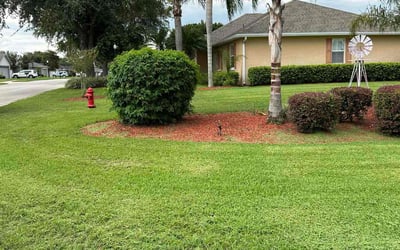 Photo of Freddy A.'s yard after getting lawn care in Bartow, FL