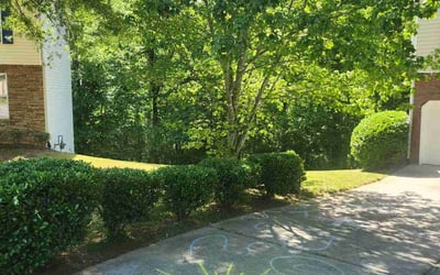 Photo of Jen W.'s yard after getting lawn care in Rockport, TX