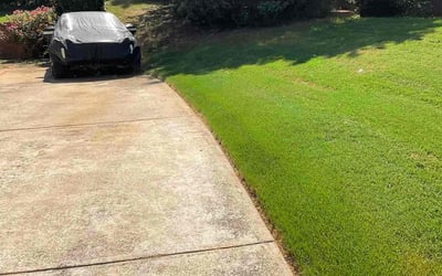 Photo of Susanne S.'s yard after getting lawn care in Chatsworth, GA