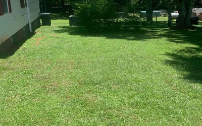 Photo of Anna S.'s yard after getting lawn care in Jackson, GA