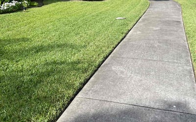 Photo of Mrs. D.'s yard after getting lawn care in Miami, FL