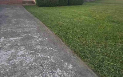 Photo of Larry M.'s yard after getting lawn care in Bristol, TN