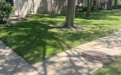 Photo of Ronald B.'s yard after getting lawn care in Lynwood, CA