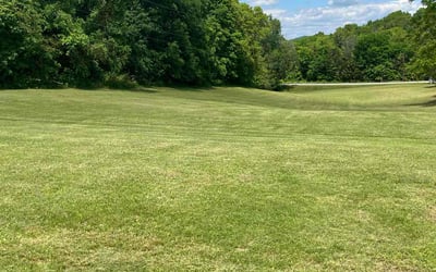 Photo of Kenneth C.'s yard after getting lawn care in Denham Springs, LA