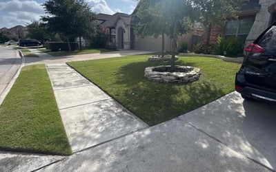 Photo of Deborah B.'s yard after getting lawn care in Augusta, GA