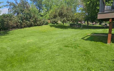 Photo of John G.'s yard after getting lawn care in Depew, NY