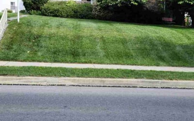 Photo of Hayley W.'s yard after getting lawn care in Norristown, PA