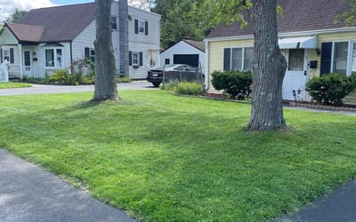 Photo of John L.'s yard after getting lawn care in Latham, NY