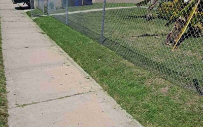 Photo of Larry U.'s yard after getting lawn care in Solana Beach, CA