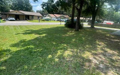 Photo of Jeshiem A.'s yard after getting lawn care in Ashville, OH