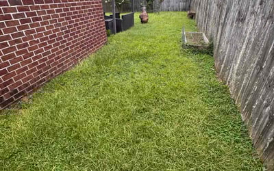Photo of Landon W.'s yard after getting lawn care in Clarksville, IN