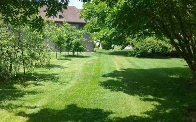 Photo of Empress G.'s yard after getting lawn care in Hamilton, OH