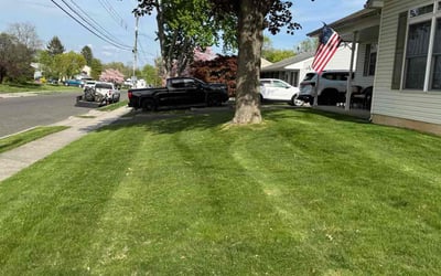 Photo of Leo P.'s yard after getting lawn care in Morrisville, PA