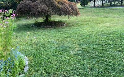 Photo of Penny C.'s yard after getting lawn care in Goshen, IN