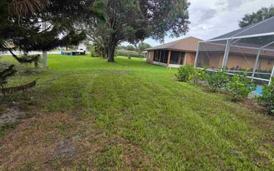 Photo of Isabel L.'s yard after getting lawn care in West Sacramento, CA