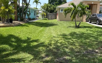 Photo of Luis D.'s yard after getting lawn care in Chula Vista, CA
