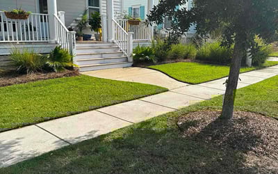 Photo of Juanita T.'s yard after getting lawn care in Melbourne, FL