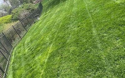 Photo of Daniela S.'s yard after getting lawn care in Irwin, PA