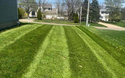 Photo of Barry M.'s yard after getting lawn care in Alliance, OH