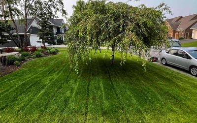 Photo of Daniel P.'s yard after getting lawn care in Huntley, IL