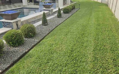 Photo of Komal K.'s yard after getting lawn care in Brunswick, ME
