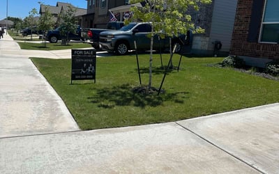 Photo of Mayzella W.'s yard after getting lawn care in Raymore, MO