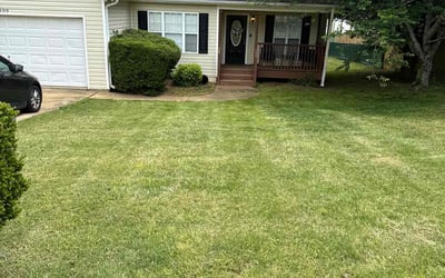 Photo of Donna A.'s yard after getting lawn care in Temple, GA